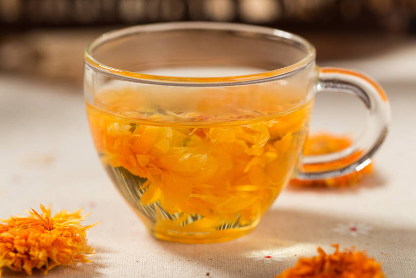 Calendula Tea